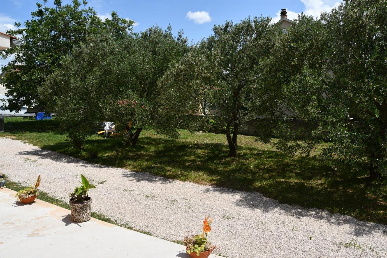 Apartmani Joja Biograd Na Moru Eksteriør billede
