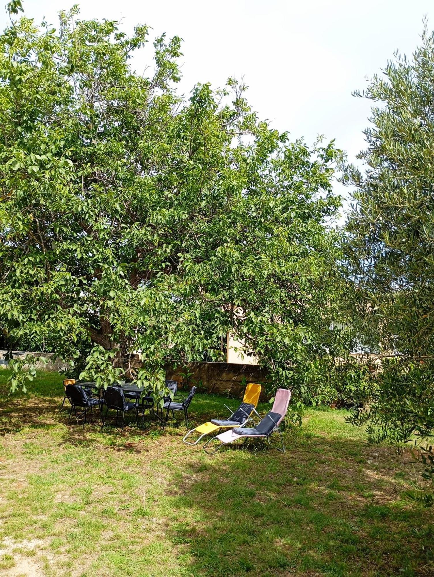 Apartmani Joja Biograd Na Moru Eksteriør billede